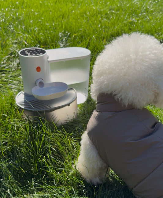 Smart Pet Water Fountain – 3L Automatic Dispenser