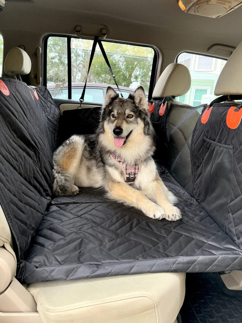 Pawrio™ Hard Bottom Dog Car Backseat Cover