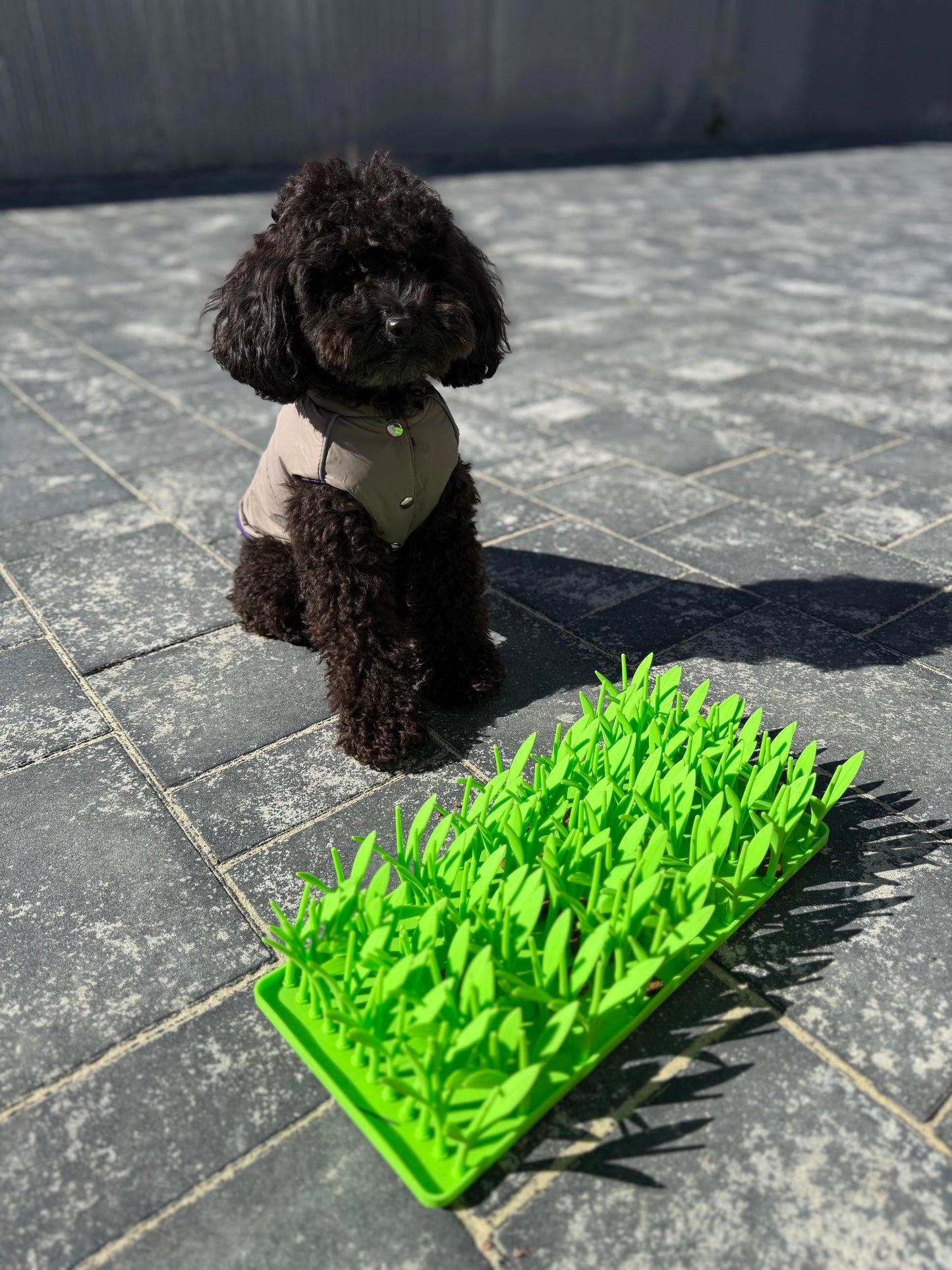 Pawrio™  Silicone Dog Lick Mat – Slow Feeder with Grass Design