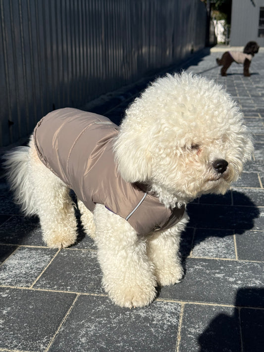 Cozy Color-Block Dog Jacket | Winter Warm Vest