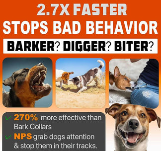 Pawrio™ Training Device - Rechargeable Deterrent with Flashlight