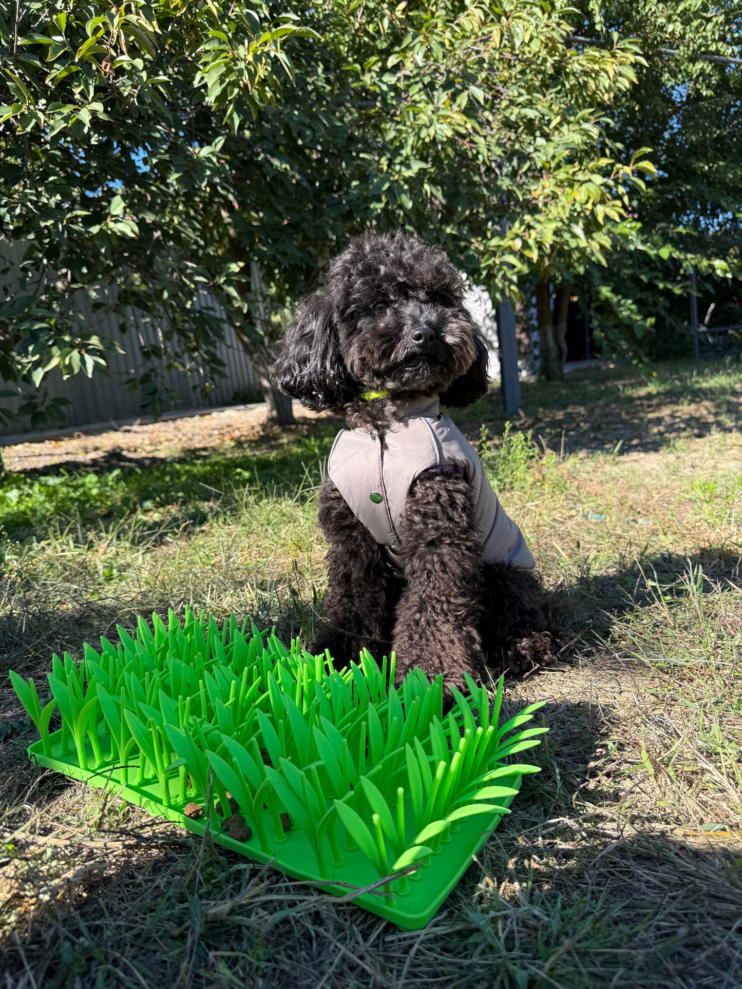 Pawrio™  Silicone Dog Lick Mat – Slow Feeder with Grass Design