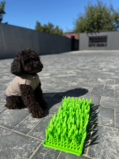 Pawrio™  Silicone Dog Lick Mat – Slow Feeder with Grass Design