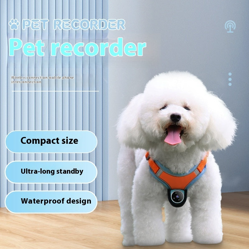 PAWRIO™ GPS Pet Collar Camera – Track & Record Your Pet’s Adventures