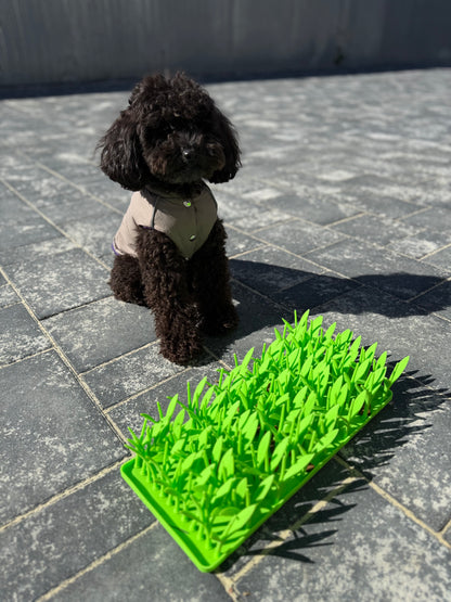 Pawrio™  Silicone Dog Lick Mat – Slow Feeder with Grass Design