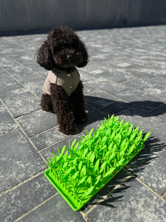 Pawrio™  Silicone Dog Lick Mat – Slow Feeder with Grass Design