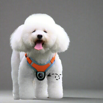 PAWRIO™ GPS Pet Collar Camera – Track & Record Your Pet’s Adventures